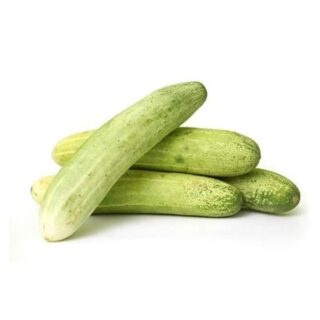 Cucumber