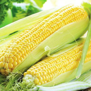 sweet-corn